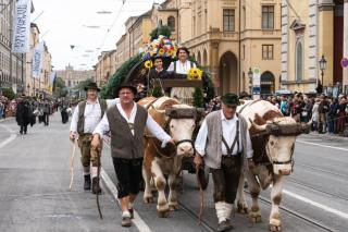 Teilnehmer beim Trachten- und Schützenzug