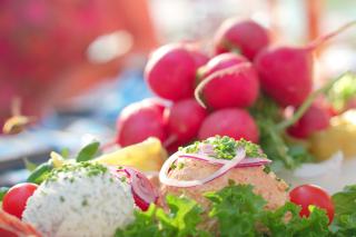 Obazda mit Radieserl